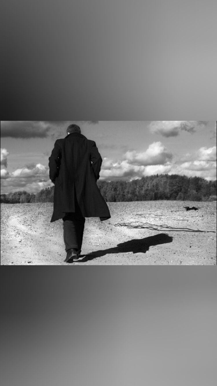 ���� 30184591 ������� �������, 46 ���, ���� ���������� � �������