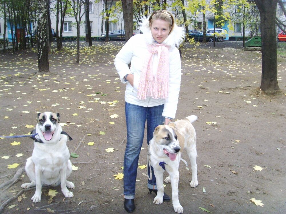 ���� 39575011 ������� ���������, 42 ����, ���� ���������� � ������