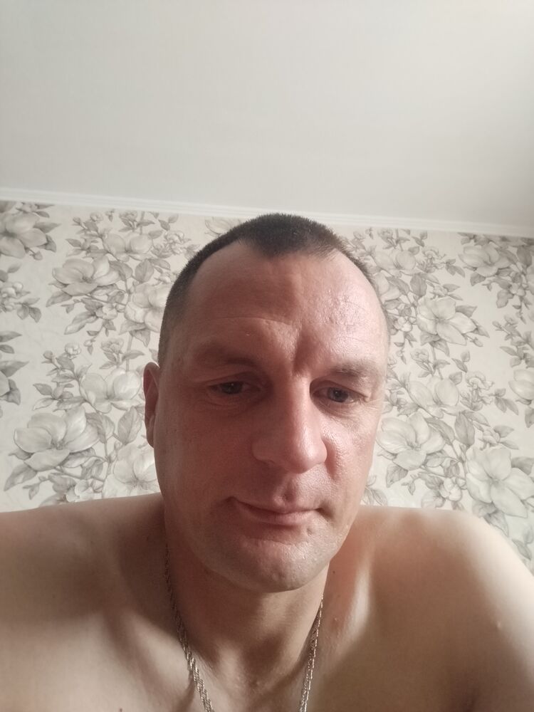  53128381  , 40 ,    