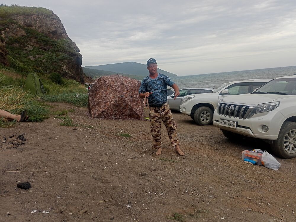  53343351  , 39 ,    -