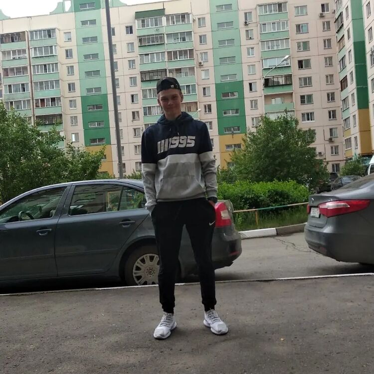  29505111  , 22 ,    