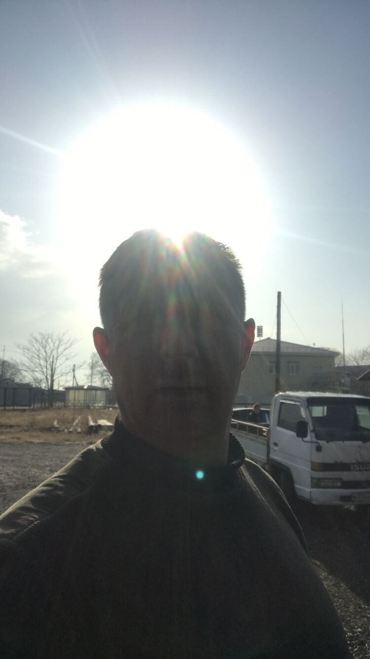  34642981  , 41 ,    