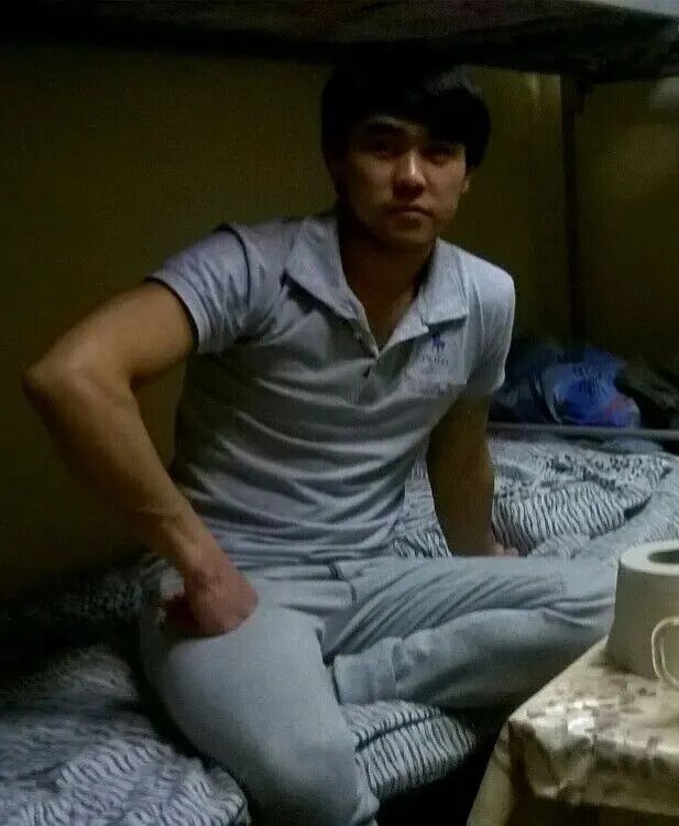 ���� 43031811 ������� �����, 33 ����, ���� ���������� � ������