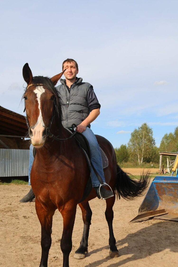 ���� 24705681 ������� ����, 43 ����, ���� ���������� � ������ ���������