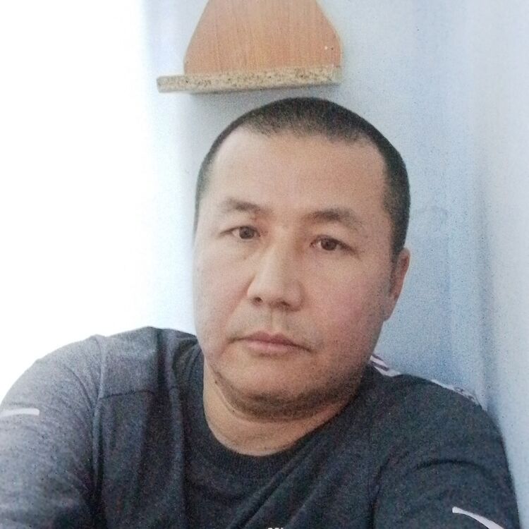  47328821  , 41 ,    