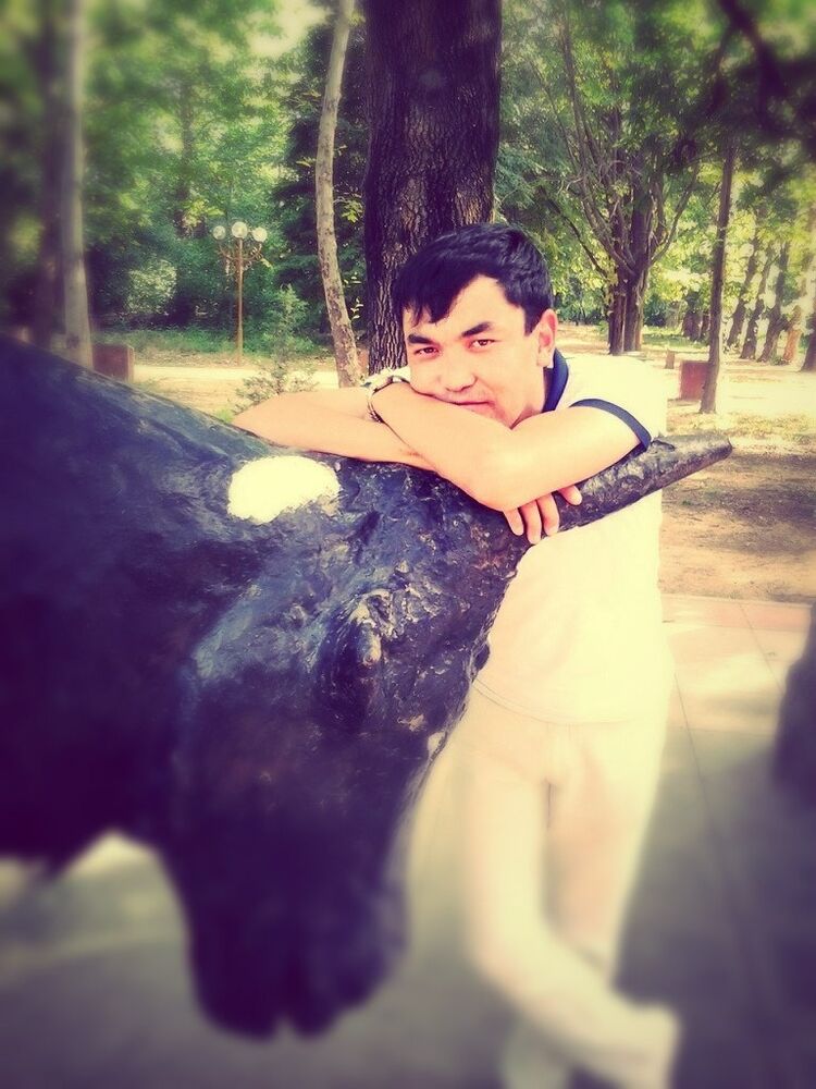 ���������� ���������, ���� ������� MADIYAR, 37 ���, ������������ ��� ������, ����� � ���������, c�������� ���������