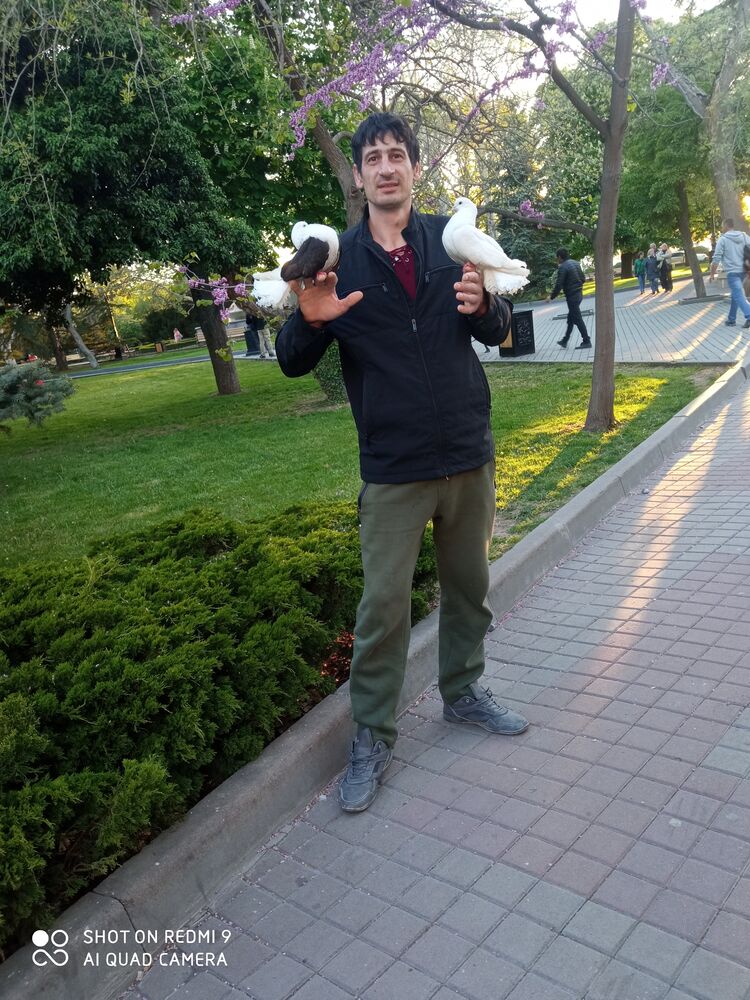 ���������� �����������, ���� ������� ��������, 36 ���, ������������ ��� ������, ����� � ���������, c�������� ���������, ���������