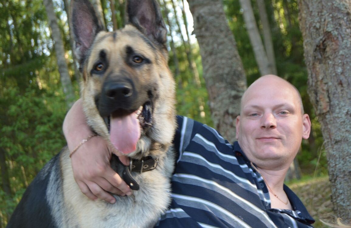 ���� 9494801 ������� ����, 44 ����, ���� ���������� � �����-����������