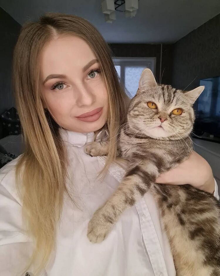 ���� 56033801 ������� ������, 29 ���, ���� ���������� � ��������