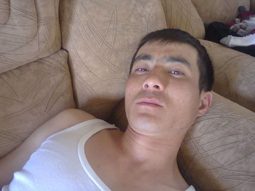  4627911  Aset, 37 ,    
