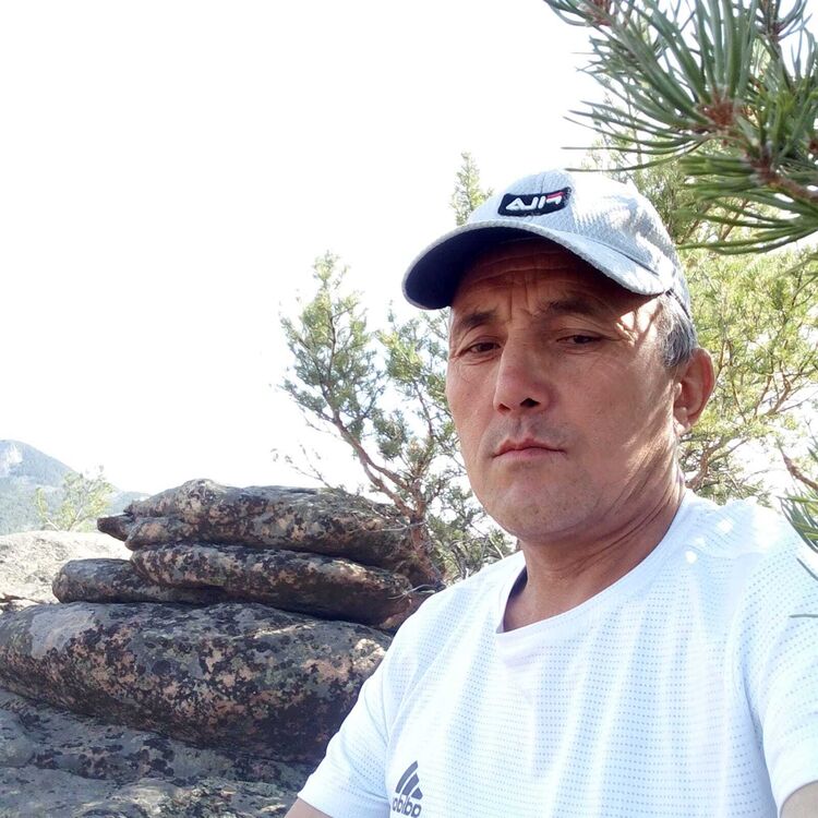 ���� 50406941 ������� �����, 58 ���, ���� ���������� � ���������