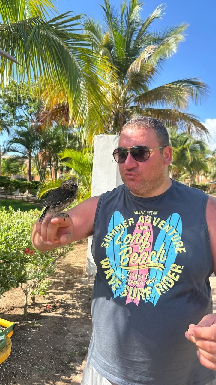 ���� 55360341 ������� �����, 39 ���, ���� ���������� � ������