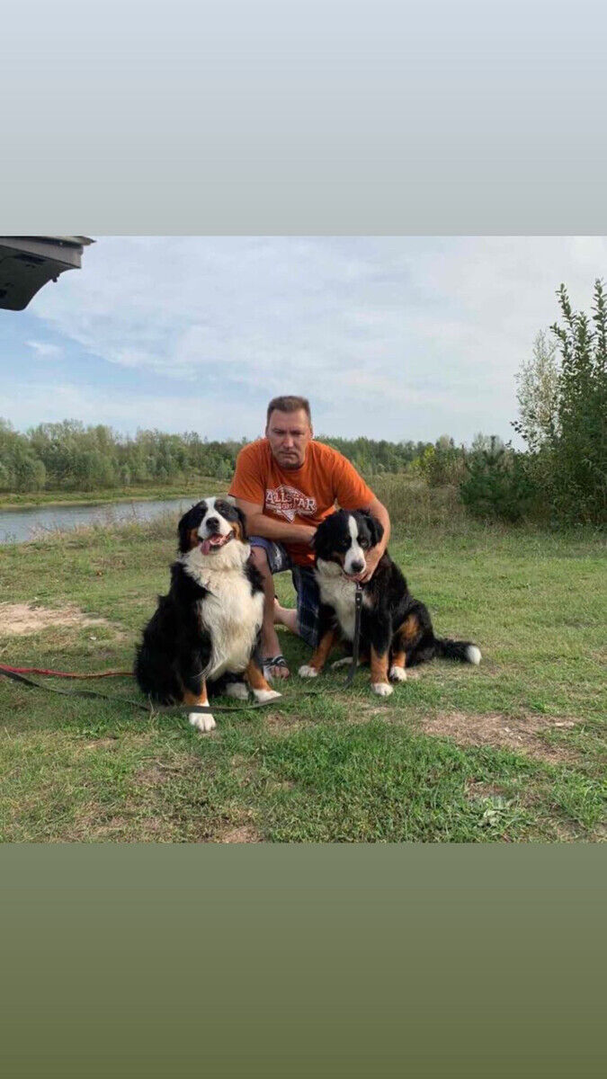 ���� 22533581 ������� ������, 54 ����, ���� ���������� � ������