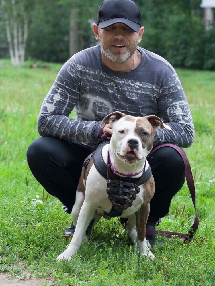 ���� 31249761 ������� ������, 52 ����, ���� ���������� � �����-����������