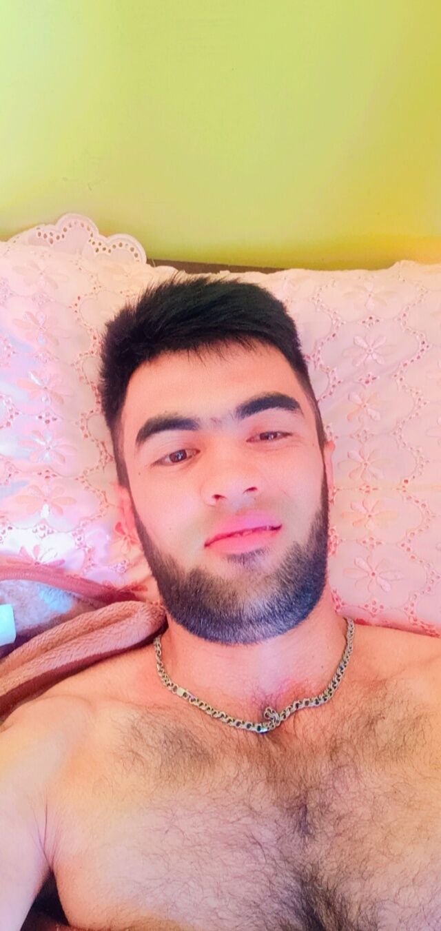  32488841  , 29 ,    