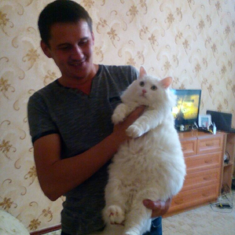 ���������� ������-��-����, ���� ������� ���������, 39 ���, ������������ ��� ������, ����� � ���������, c�������� ���������