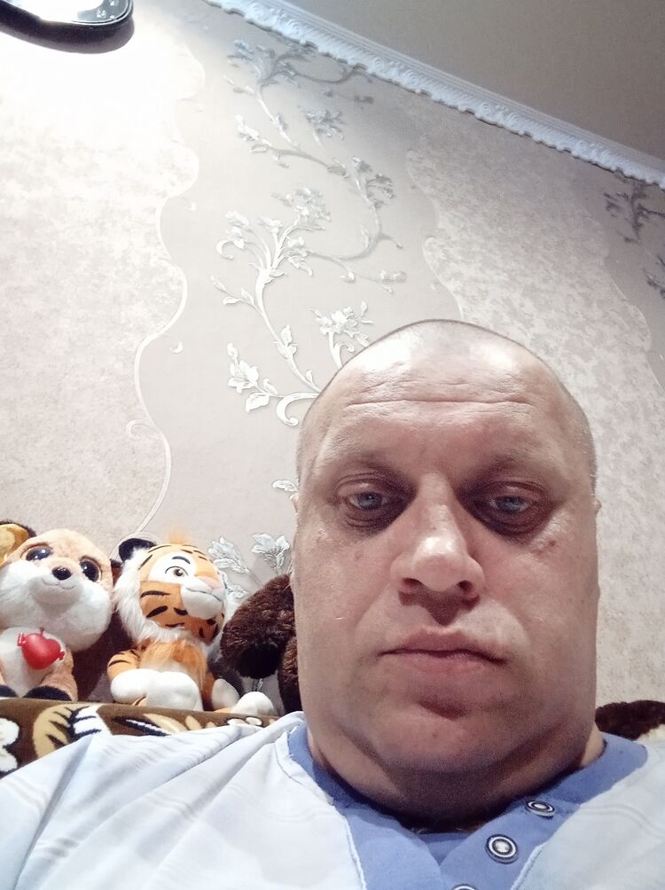  24544711  , 43 ,    