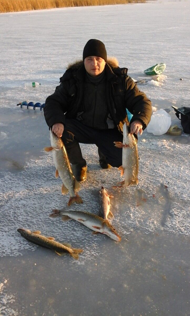 ���� 11984681 ������� ���������, 37 ���, ���� ���������� � ���������