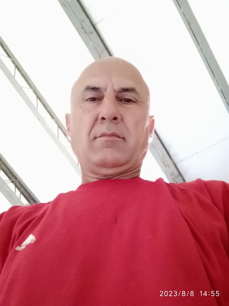  37630141  , 57 ,    
