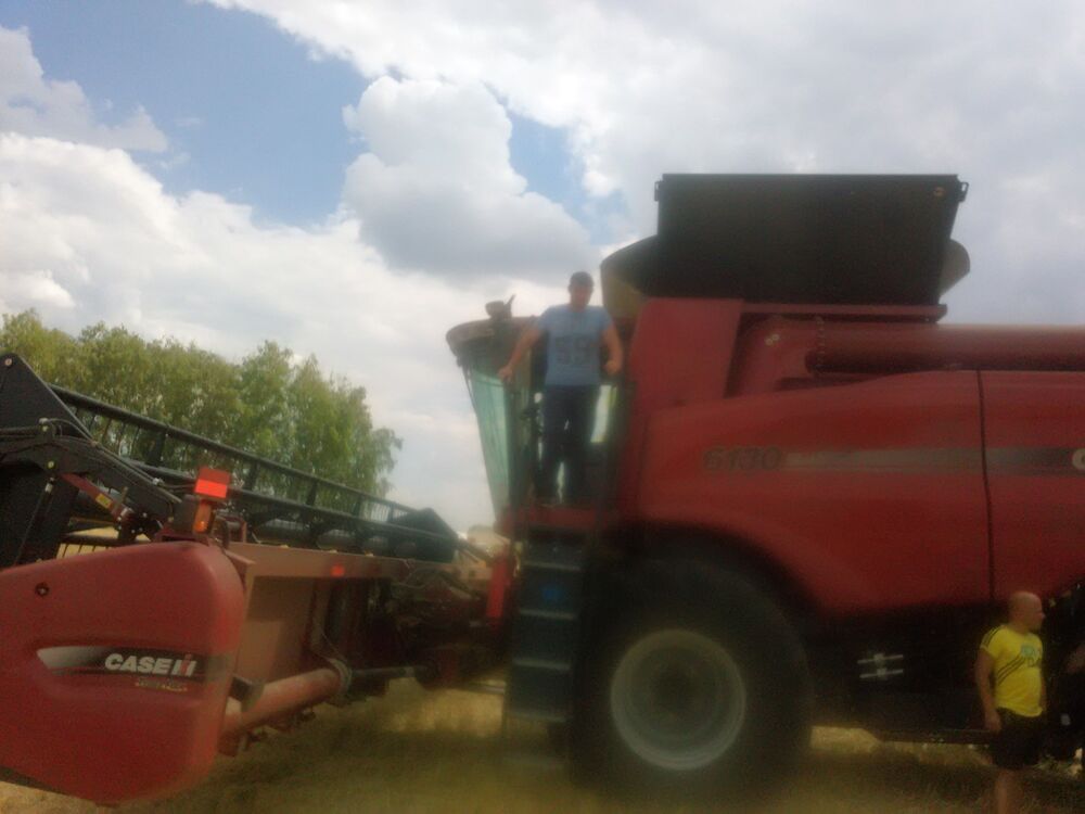  5246541  Shura0383, 42 ,    