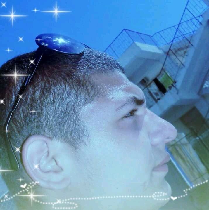 ���� 24874031 ������� �����, 31 ���, ���� ���������� � ���������