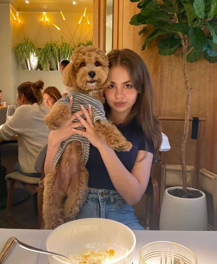 ���������� ������, ���� ������� �������, 24 ����, ������������ ��� ������, ����� � ���������