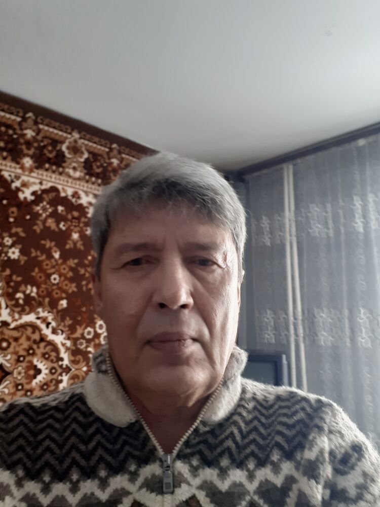  43769311  , 66 ,    