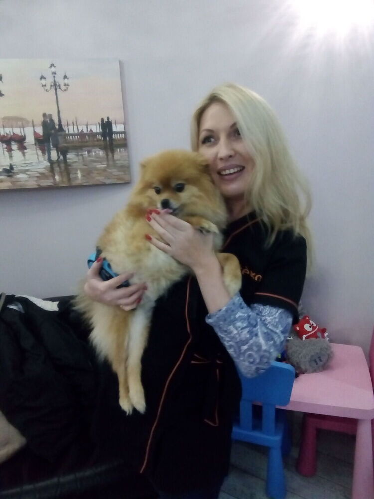 ���� 24619171 ������� ������, 42 ����, ���� ���������� � ������