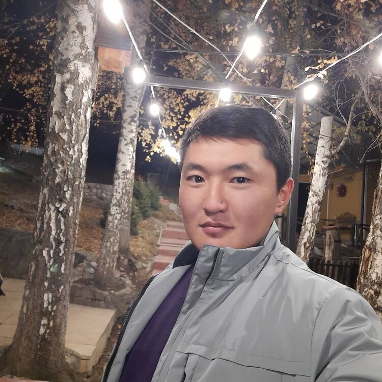 ���� 33836061 ������� ������, 32 ����, ���� ���������� � �������