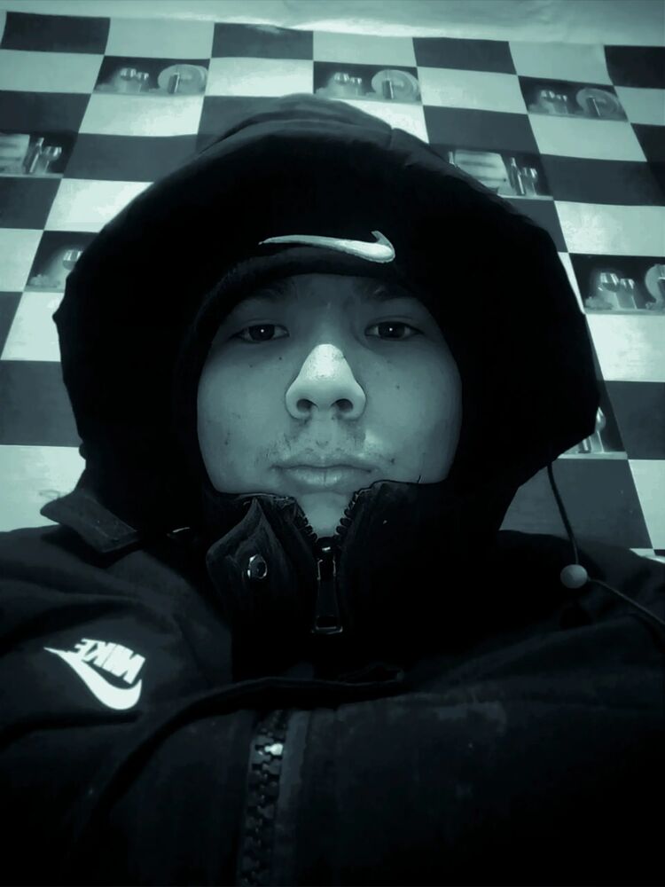  50540631  , 21 ,    