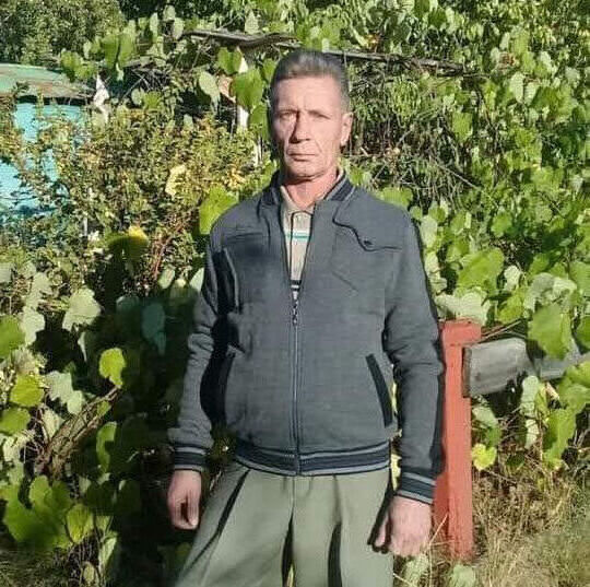  26436431  , 53 ,    
