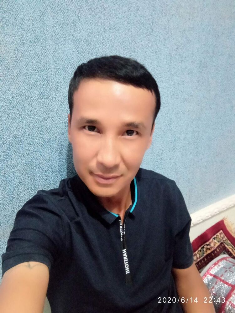  32378331  , 41 ,    