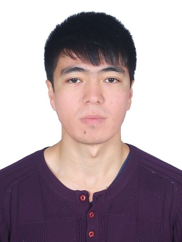 ���� 20955111 ������� Shox, 32 ����, ���� ���������� � ����������