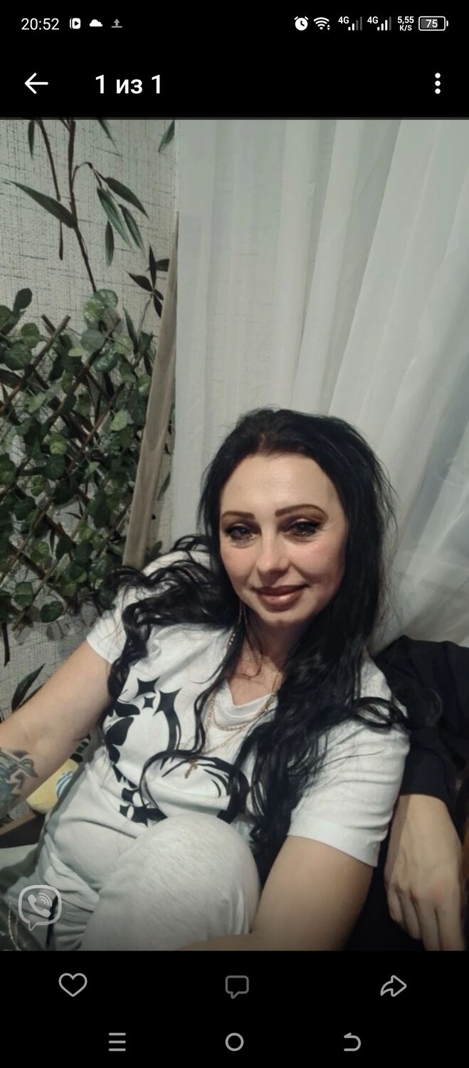  41397991  , 41 ,    