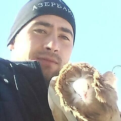 ���� 11486281 ������� ������, 32 ����, ���� ���������� � ����