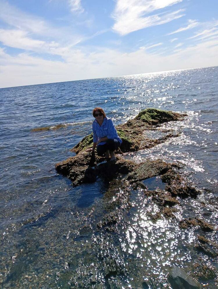 ���� 54919741 ������� �����, 60 ���, ���� ���������� � ����������