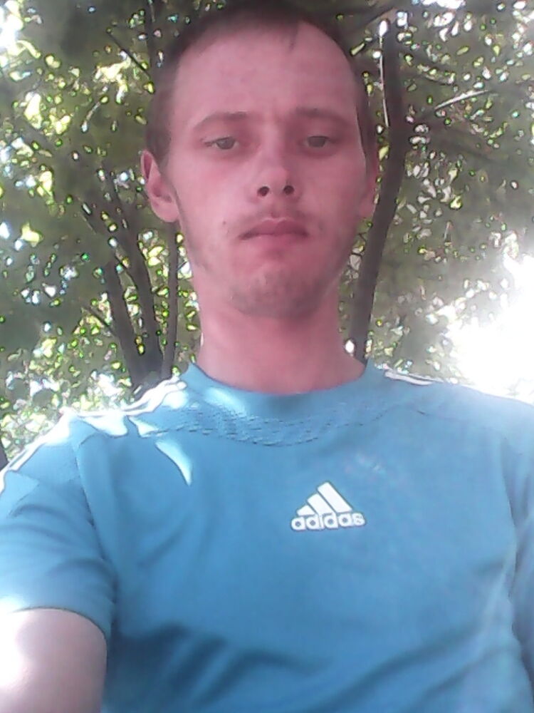  6533991  , 33 ,    