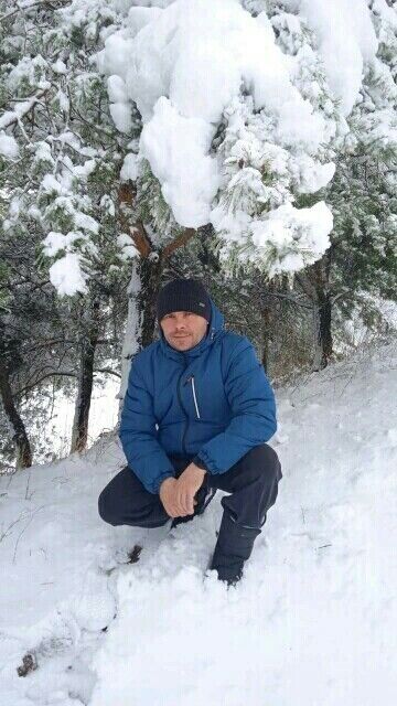 ���� 50554491 ������� ������, 37 ���, ���� ���������� � ��������