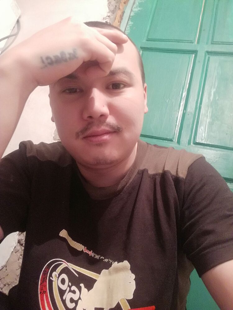  41041131  , 31 ,    