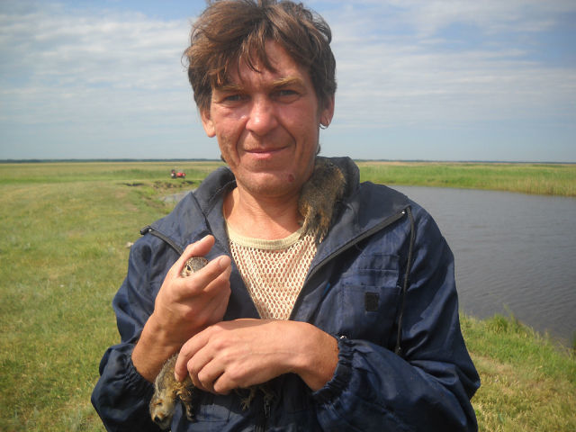  ,   , 53 ,   