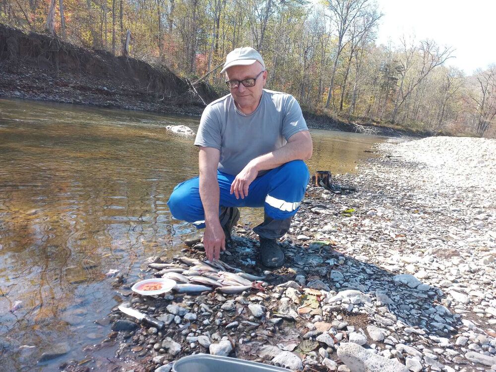 ���� 52729501 ������� ����, 56 ���, ���� ���������� � �������