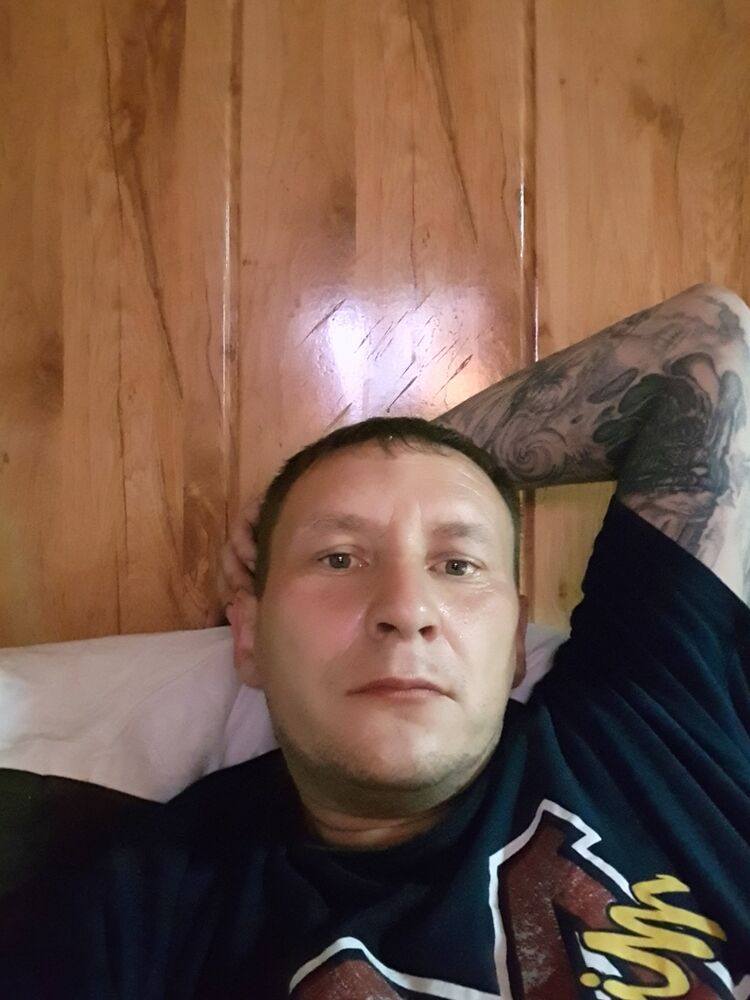  28363831  , 41 ,    -