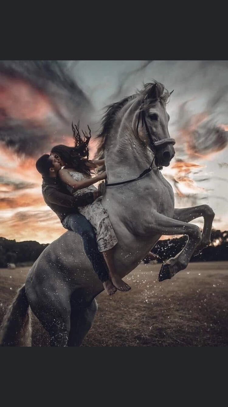 ���� 25849031 ������� �������, 44 ����, ���� ���������� � ������