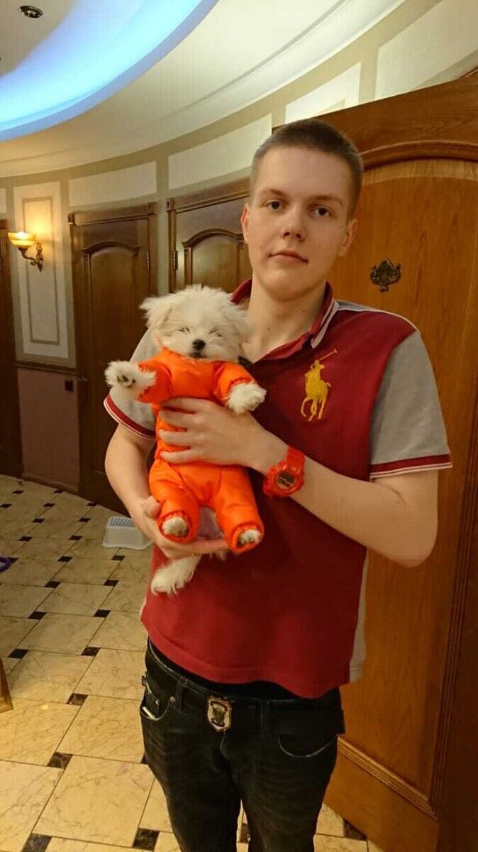 ���������� ������, ���� ����� ������, 24 ����, ������������ ��� ������, ����� � ���������, c�������� ���������