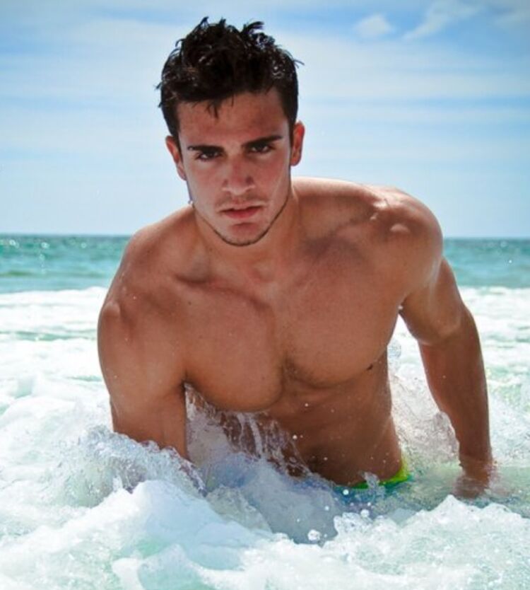 ���� 47998001 ������� �����, 36 ���, ���� ���������� � ������