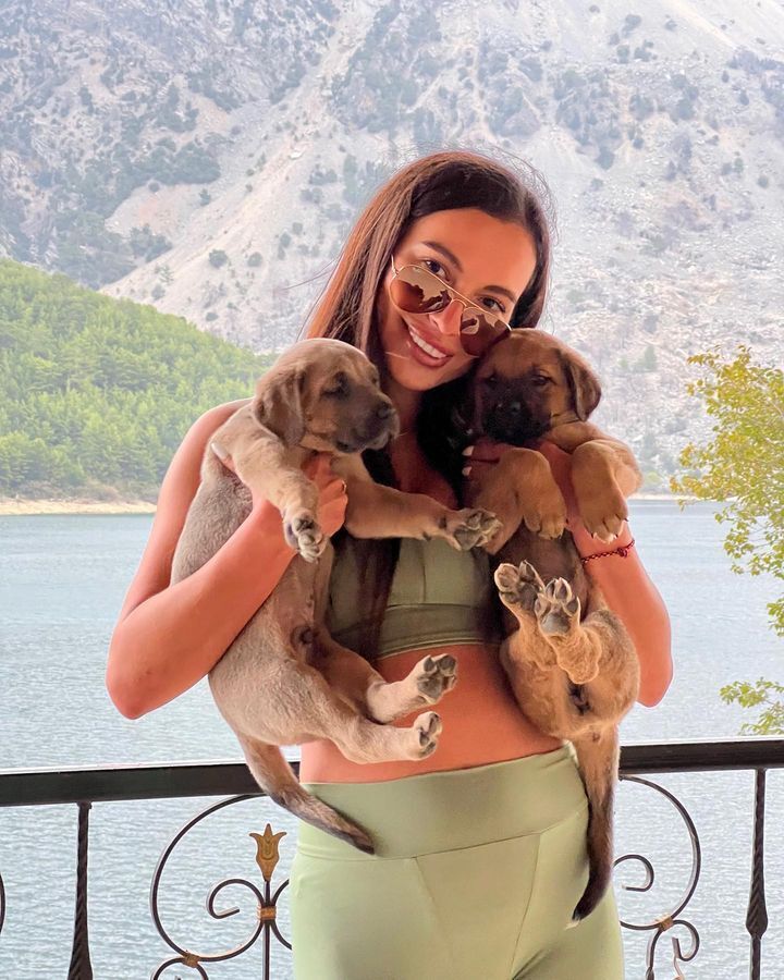 ���������� �����-���������, ���� ������� ������, 31 ���, ������������ ��� ������, ����� � ���������