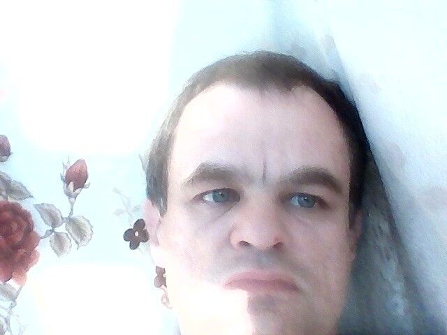  9988981  , 51 ,    