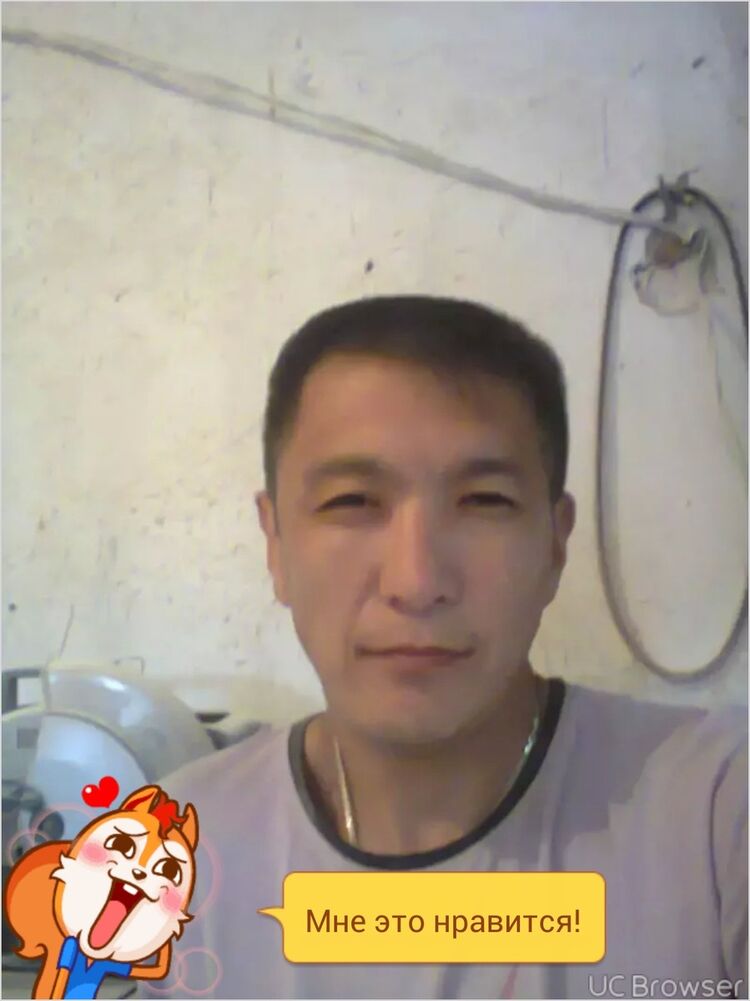 8293361  , 47 ,    -