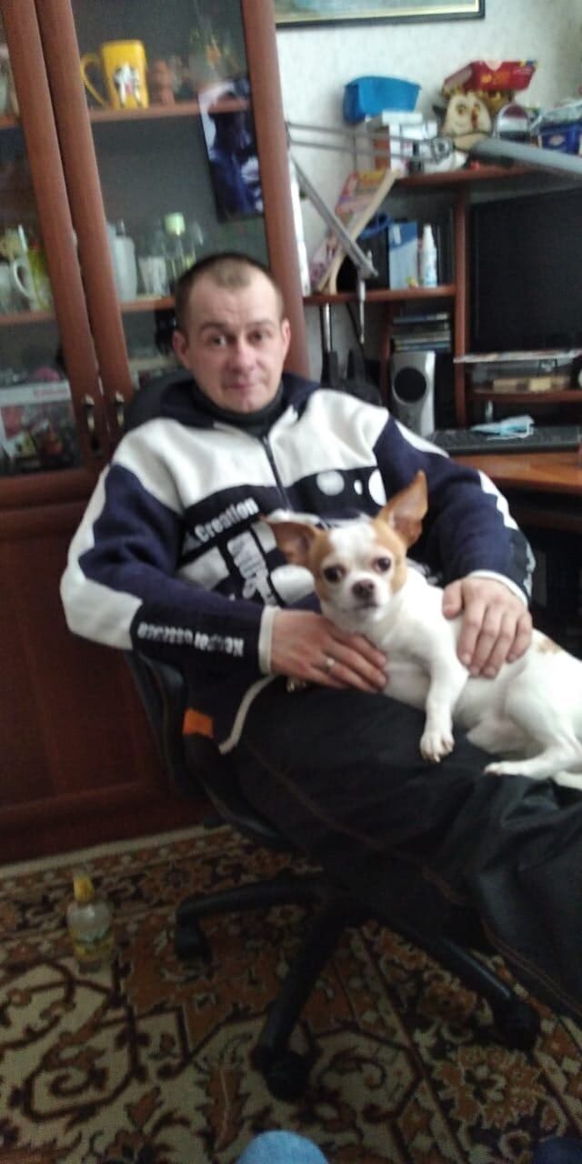 ���������� ������, ���� ������� ����, 36 ���, ������������ ��� ������, ����� � ���������, c�������� ���������