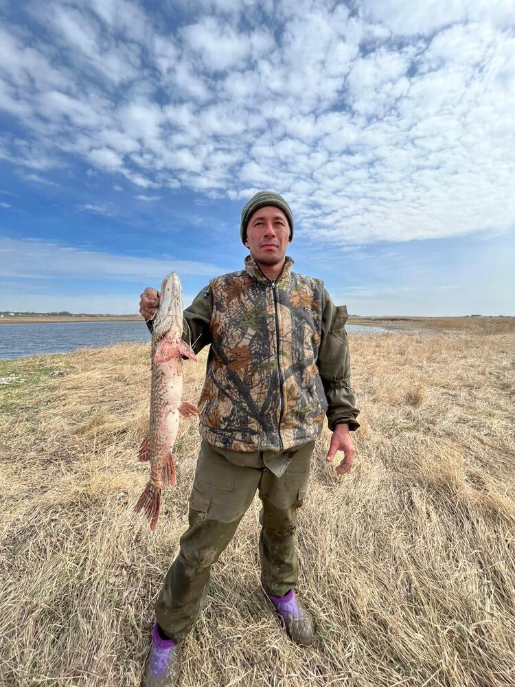 ���� 36933751 ������� �������, 42 ����, ���� ���������� � ������������